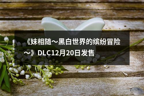 《妹相随～黑白世界的缤纷冒险～》DLC12月20日发售