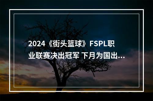 2024《街头篮球》FSPL职业联赛决出冠军 下月为国出征