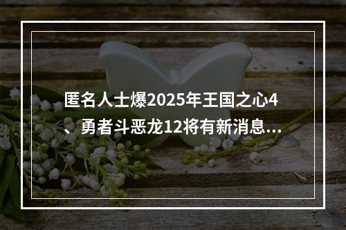 匿名人士爆2025年王国之心4、勇者斗恶龙12将有新消息?