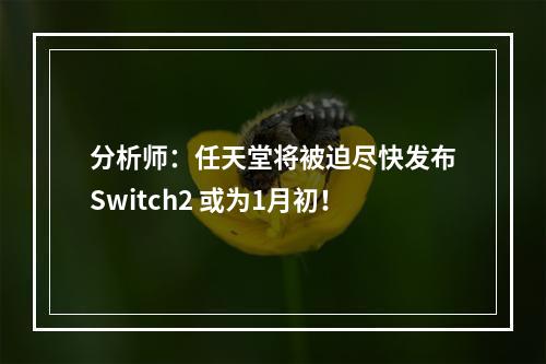 分析师：任天堂将被迫尽快发布Switch2 或为1月初！