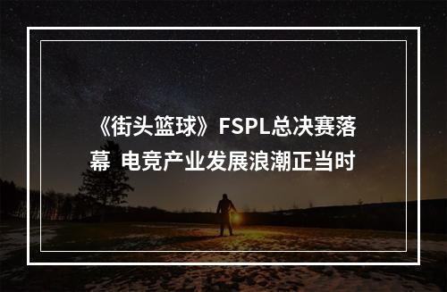 《街头篮球》FSPL总决赛落幕  电竞产业发展浪潮正当时