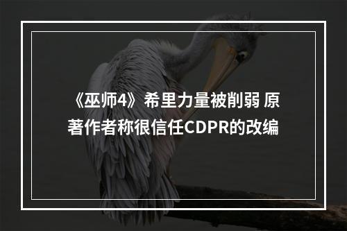 《巫师4》希里力量被削弱 原著作者称很信任CDPR的改编