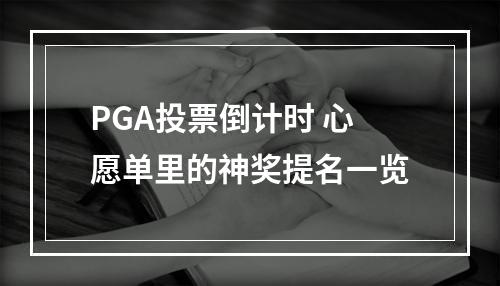 PGA投票倒计时 心愿单里的神奖提名一览