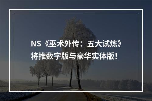 NS《巫术外传：五大试炼》将推数字版与豪华实体版！