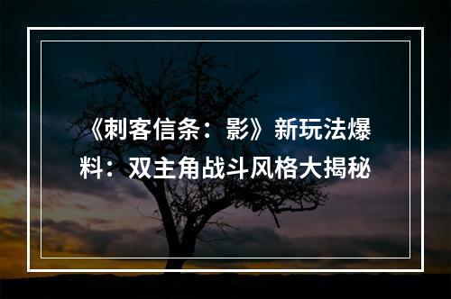 《刺客信条：影》新玩法爆料：双主角战斗风格大揭秘