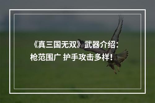 《真三国无双》武器介绍： 枪范围广 护手攻击多样！