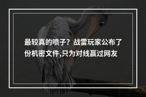 最较真的喷子？战雷玩家公布了份机密文件,只为对线赢过网友