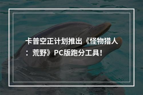 卡普空正计划推出《怪物猎人：荒野》PC版跑分工具！