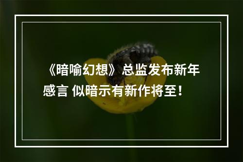 《暗喻幻想》总监发布新年感言 似暗示有新作将至！