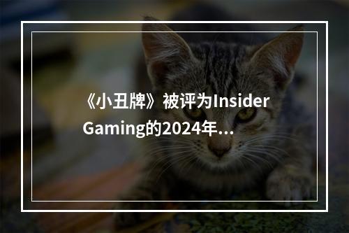 《小丑牌》被评为Insider Gaming的2024年度独立游戏