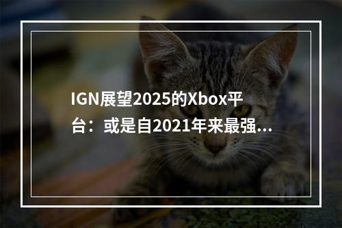 IGN展望2025的Xbox平台：或是自2021年来最强一年！