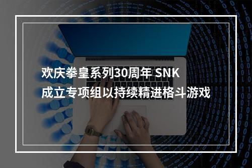 欢庆拳皇系列30周年 SNK成立专项组以持续精进格斗游戏