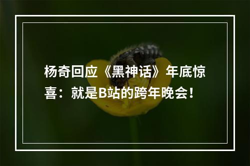 杨奇回应《黑神话》年底惊喜：就是B站的跨年晚会！