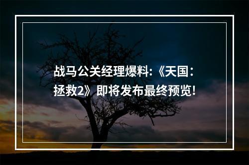 战马公关经理爆料:《天国：拯救2》即将发布最终预览!