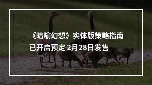 《暗喻幻想》实体版策略指南已开启预定 2月28日发售