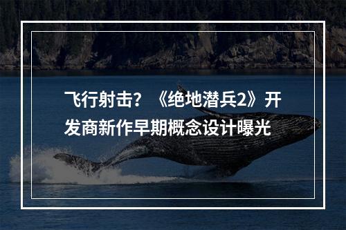 飞行射击？《绝地潜兵2》开发商新作早期概念设计曝光