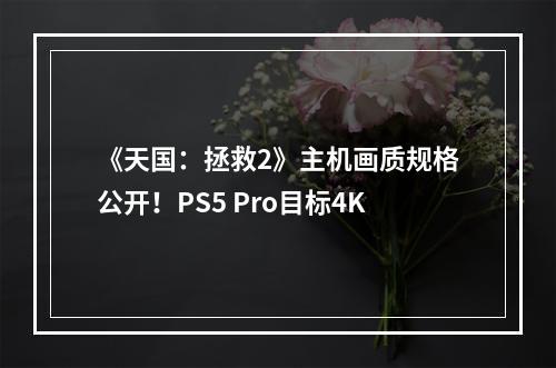 《天国：拯救2》主机画质规格公开！PS5 Pro目标4K