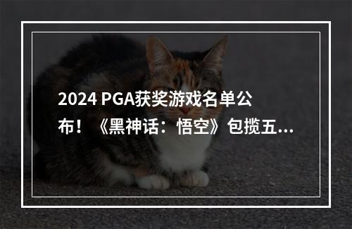 2024 PGA获奖游戏名单公布！《黑神话：悟空》包揽五项大奖