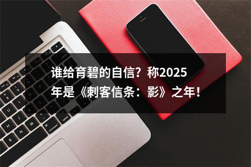 谁给育碧的自信？称2025年是《刺客信条：影》之年！