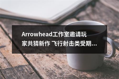 Arrowhead工作室邀请玩家共猜新作 飞行射击类受期待