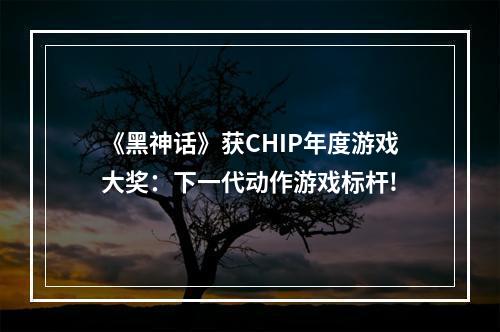 《黑神话》获CHIP年度游戏大奖：下一代动作游戏标杆!