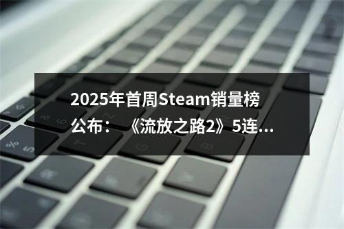 2025年首周Steam销量榜公布： 《流放之路2》5连冠！