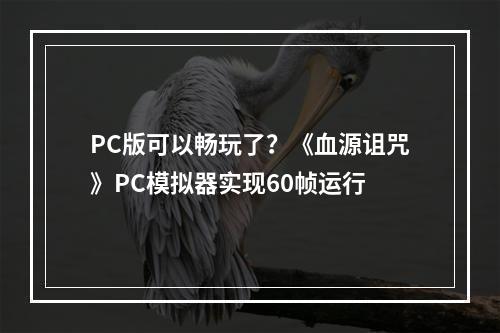 PC版可以畅玩了？《血源诅咒》PC模拟器实现60帧运行