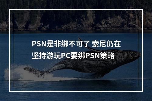 PSN是非绑不可了 索尼仍在坚持游玩PC要绑PSN策略