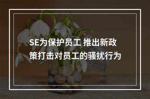 SE为保护员工 推出新政策打击对员工的骚扰行为