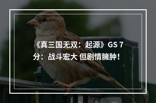 《真三国无双：起源》GS 7分：战斗宏大 但剧情臃肿！