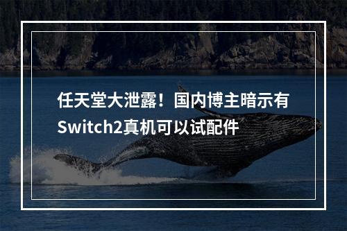 任天堂大泄露！国内博主暗示有Switch2真机可以试配件