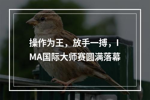 操作为王，放手一搏，IMA国际大师赛圆满落幕