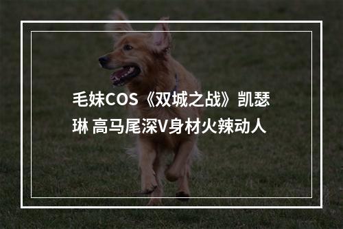 毛妹COS《双城之战》凯瑟琳 高马尾深V身材火辣动人