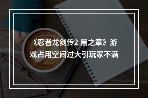 《忍者龙剑传2 黑之章》游戏占用空间过大引玩家不满