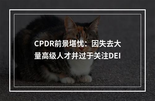 CPDR前景堪忧：因失去大量高级人才并过于关注DEI