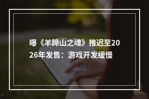 曝《羊蹄山之魂》推迟至2026年发售：游戏开发缓慢