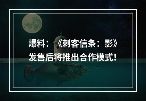 爆料：《刺客信条：影》发售后将推出合作模式！