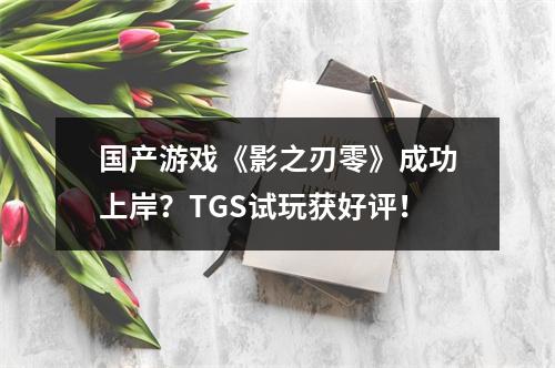 国产游戏《影之刃零》成功上岸？TGS试玩获好评！