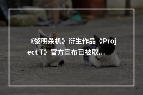 《黎明杀机》衍生作品《Project T》官方宣布已被取消