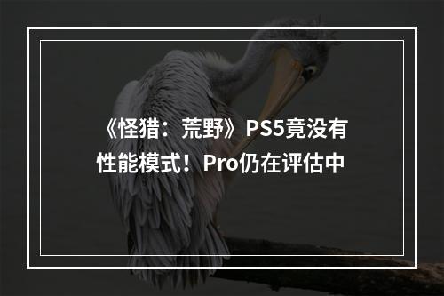 《怪猎：荒野》PS5竟没有性能模式！Pro仍在评估中