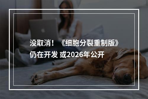 没取消！《细胞分裂重制版》仍在开发 或2026年公开