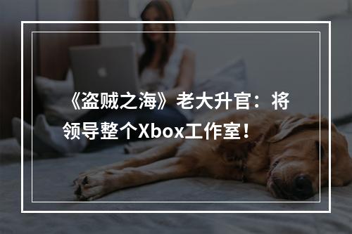 《盗贼之海》老大升官：将领导整个Xbox工作室！