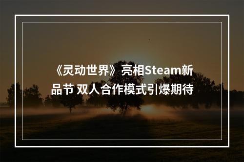 《灵动世界》亮相Steam新品节 双人合作模式引爆期待