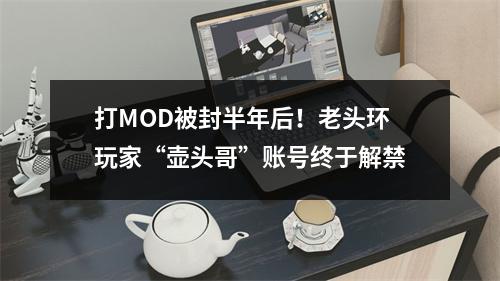 打MOD被封半年后！老头环玩家“壶头哥”账号终于解禁