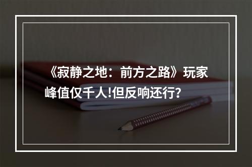 《寂静之地：前方之路》玩家峰值仅千人!但反响还行？