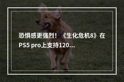 恐惧感更强烈！《生化危机8》在PS5 pro上支持120帧