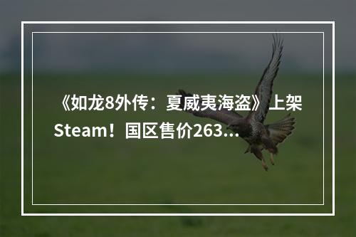 《如龙8外传：夏威夷海盗》上架Steam！国区售价263元