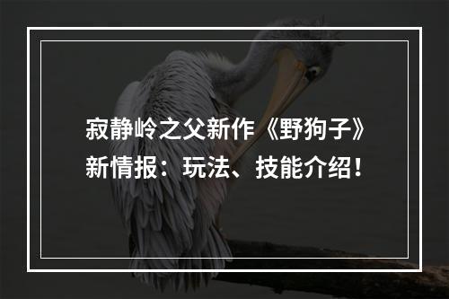 寂静岭之父新作《野狗子》新情报：玩法、技能介绍！