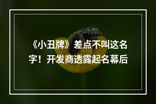 《小丑牌》差点不叫这名字！开发商透露起名幕后