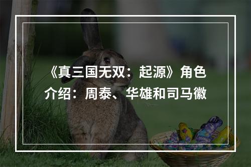 《真三国无双：起源》角色介绍：周泰、华雄和司马徽